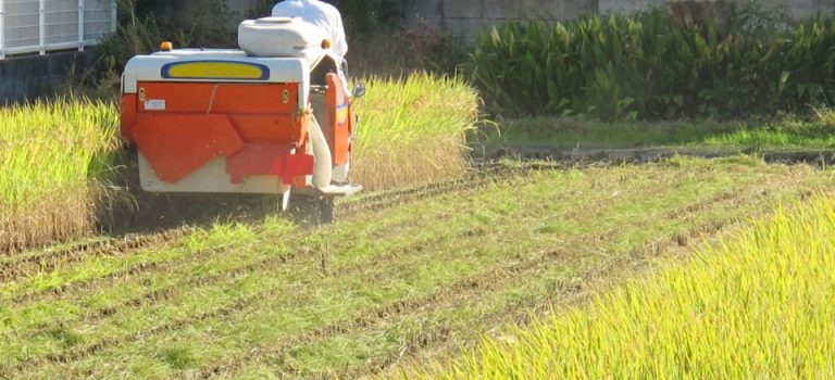 ギアヘッド選びで差がつく費用対効果の極意とメンテナンス術